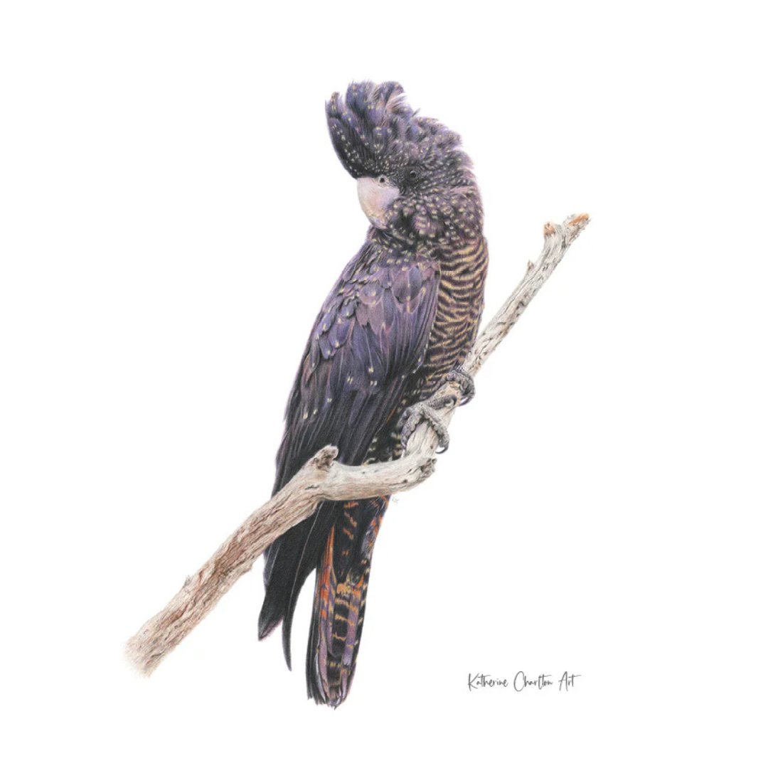 Print (A5) - Kat Charlton Art