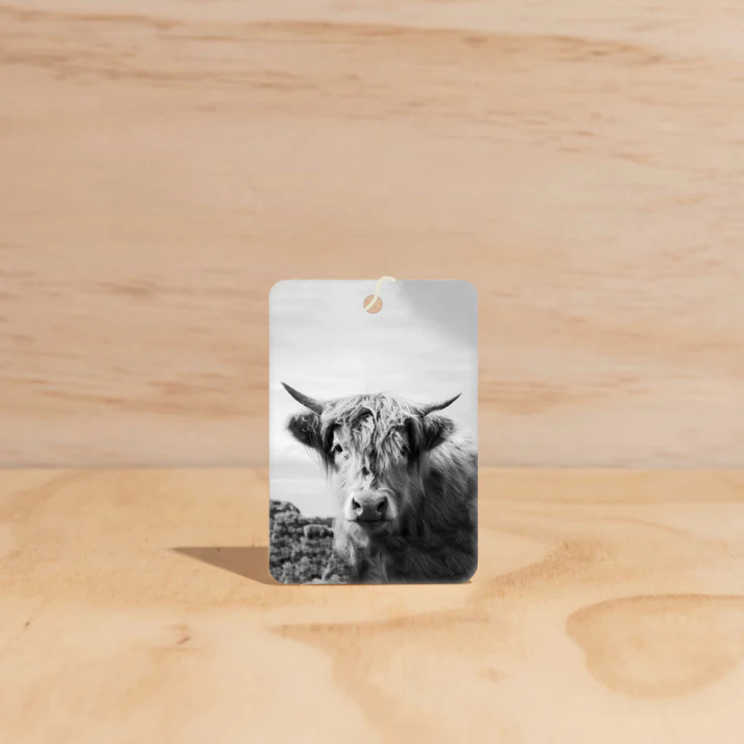 Air Freshener