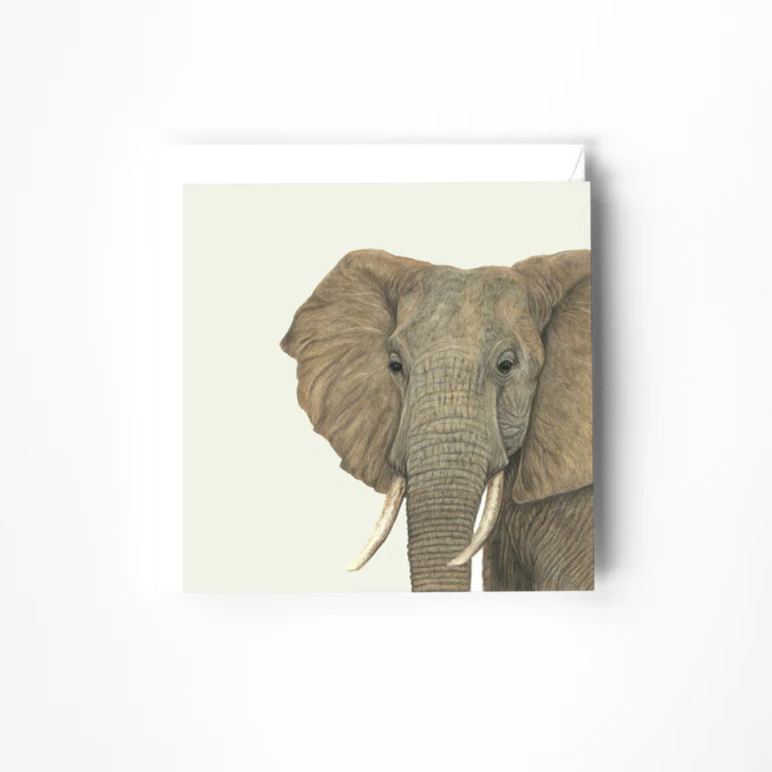Card - Kat Charlton Art