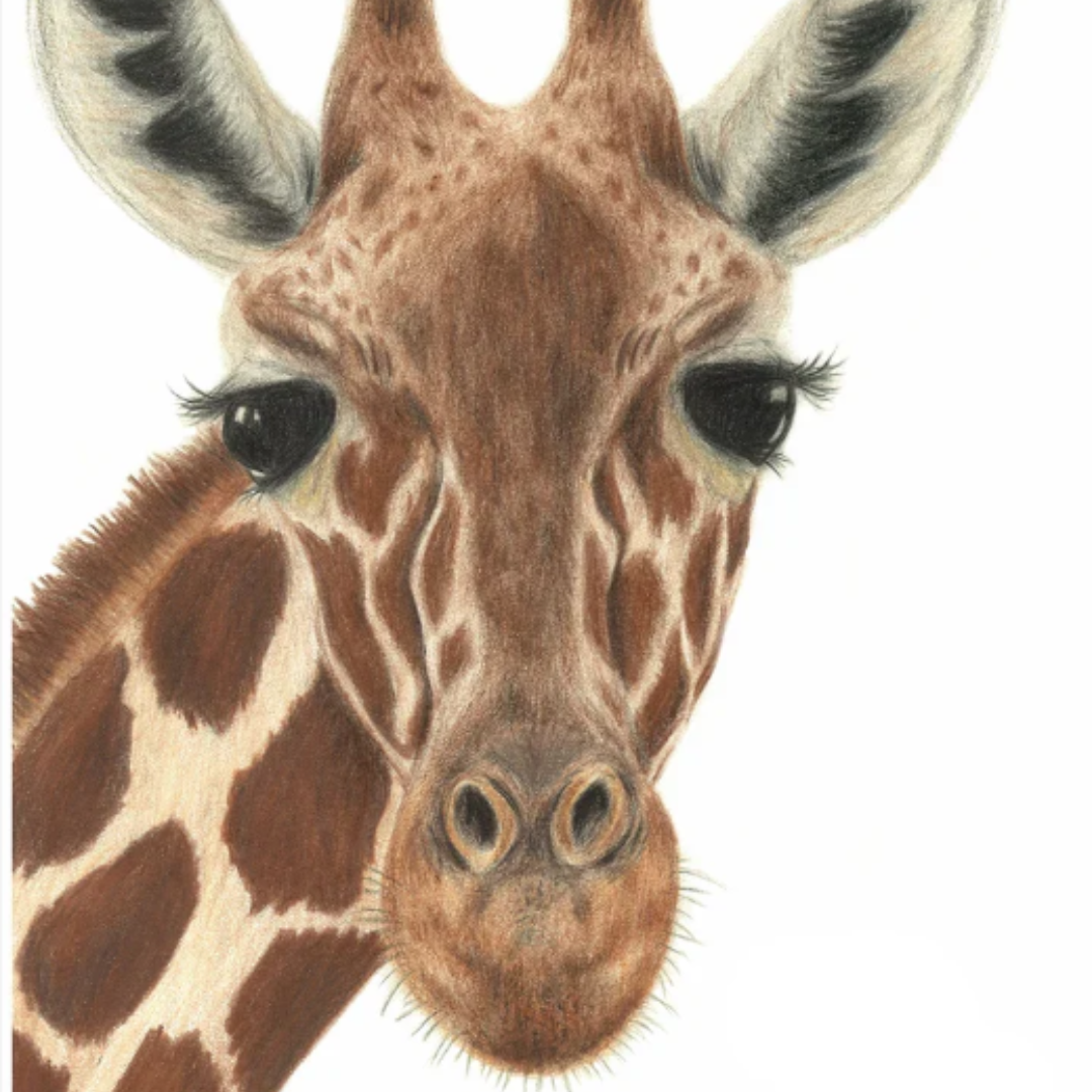 Print (A5) - Kat Charlton Art