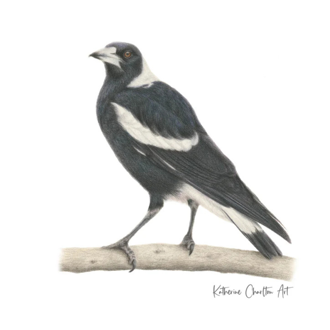 Print (A5) - Kat Charlton Art