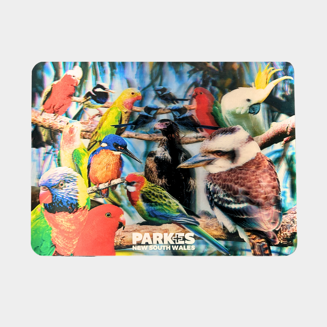 Placemat - 3D Birds of Australia