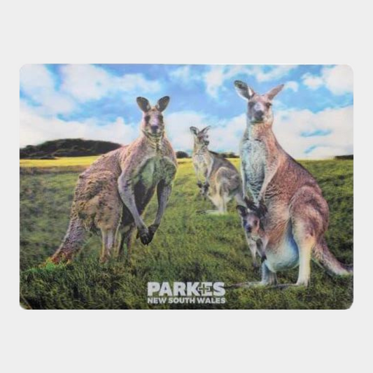 Placemat - 3D Kangaroo Family